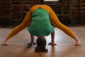 Monica Plante Yoga Instructor 